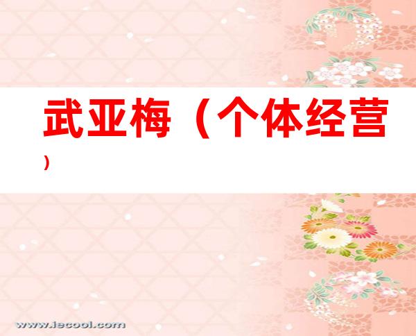 武亚梅（个体经营）